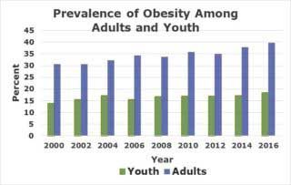 figure showing a graph in which data showing prevalence of obesity among adults and youth