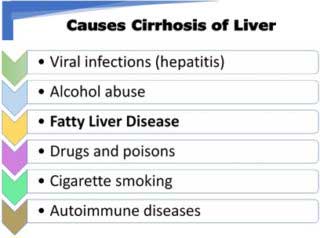 Causes Cirrhosis of Liver 