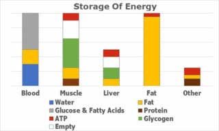 Energy Storage Chart