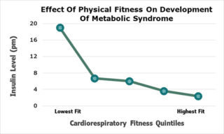 effect of physical fitness on the metabolic syndrome