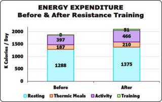 Energy Expenditure before & after Resistance Strength training