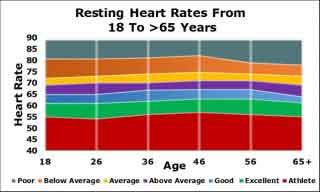 resting heart rates from 18 to 65 low basal heart rate