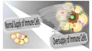 immune cell adipose