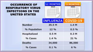 picture showing data about occurrence of respiratory virus infections in the united states