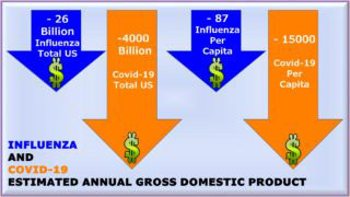 estimated annual gross domestic product influenza and COVID-19