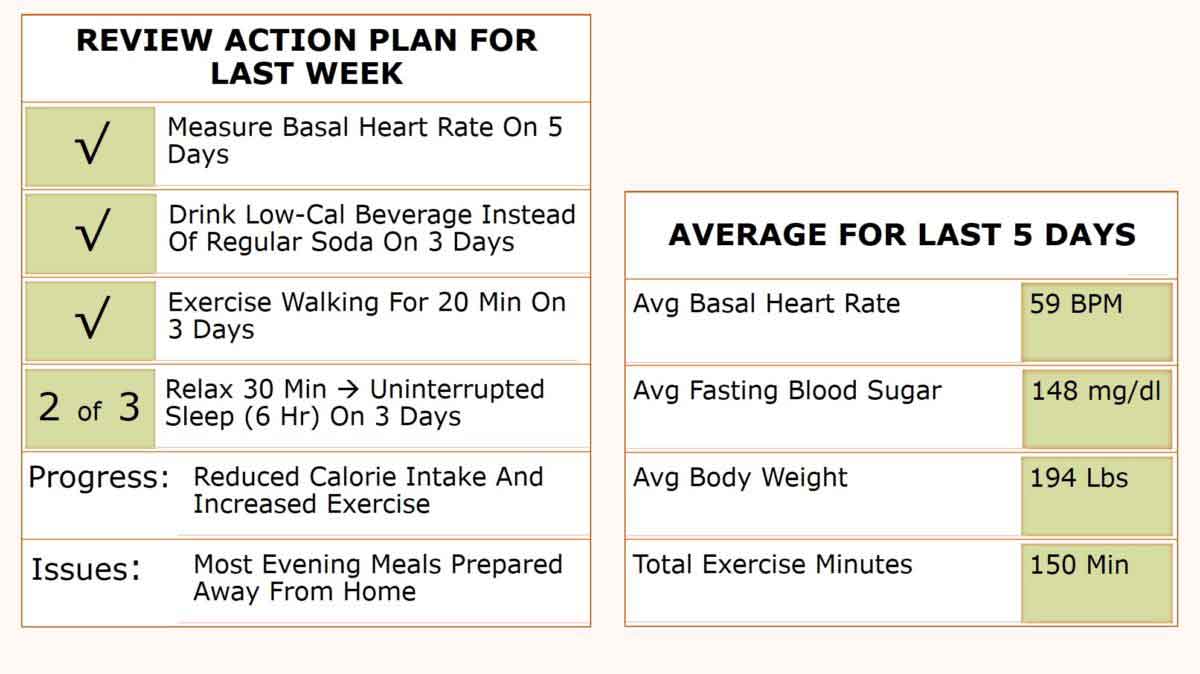 action plan review