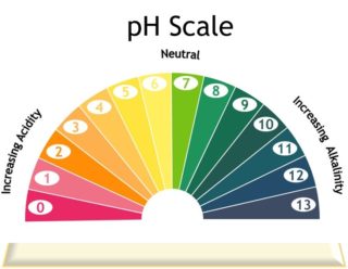 Picture showing pH Scale 
