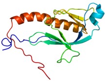 Protein folding