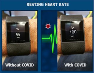 Rest Heart Rate-Protection From Covid