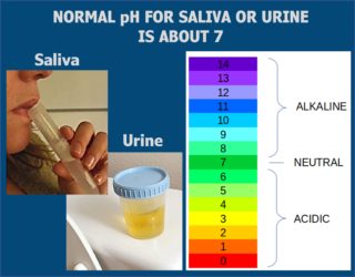 Salvia urine