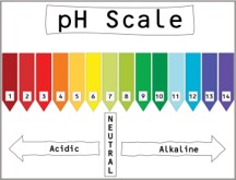 pH Scale