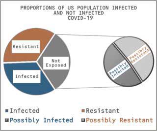 Chart showing Proportion of US infected population vs non infected population