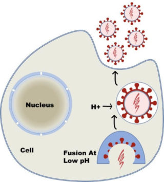 Cell Out diagram