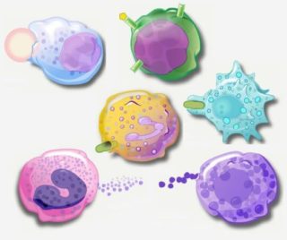Healthy Cells pictorial representation