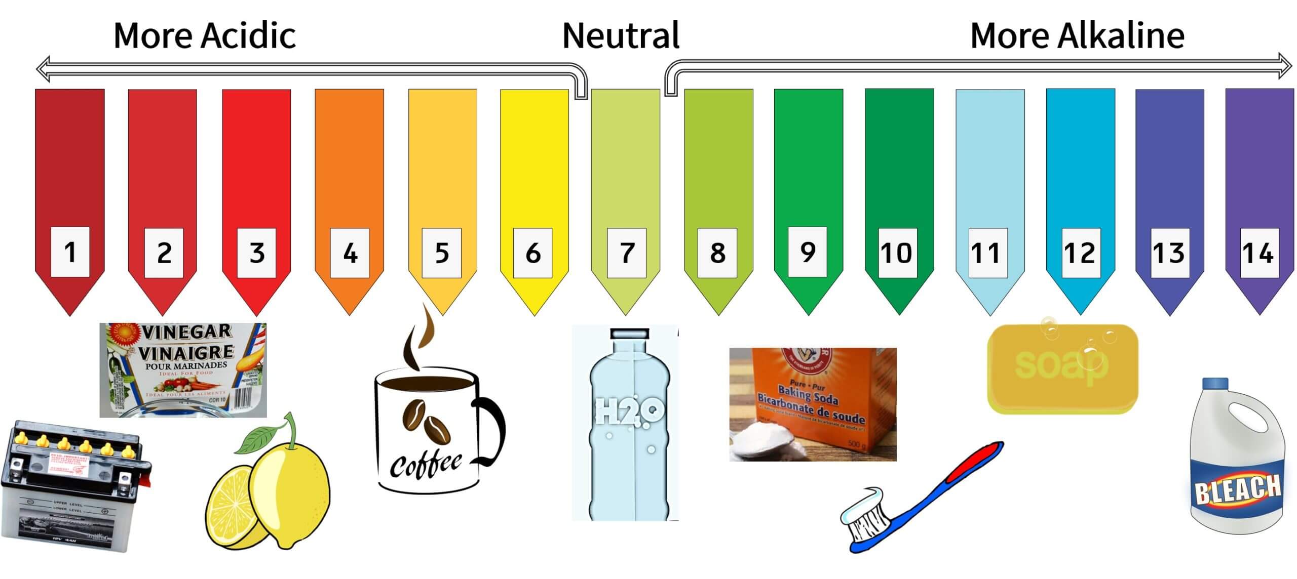 pH Scale withAcidAlkaline