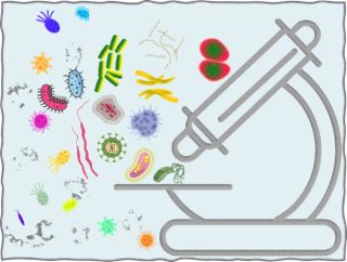 Bacteria-Microscope